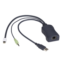 ServSwitch CX Server Access Module  DisplayPort